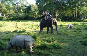6 Nights 7 days Tour Including Mt. Everest and Jungle safari